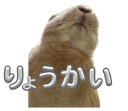 766818061