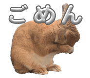766818062