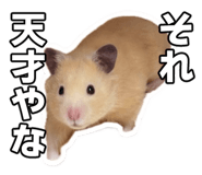 766820696