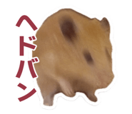 766820703