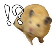 766820704