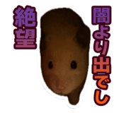 766820727