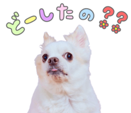 766860574
