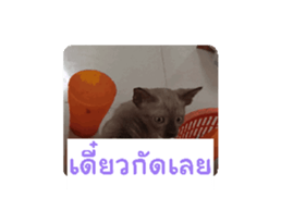 766868592