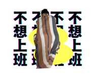 766869905