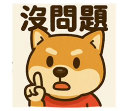 766870007