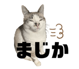 766872323