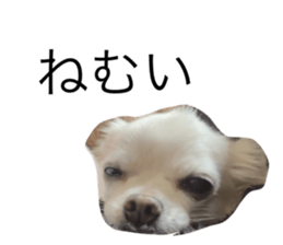 766874606