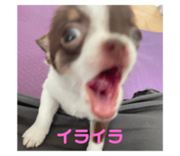 766875709