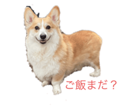 766876674