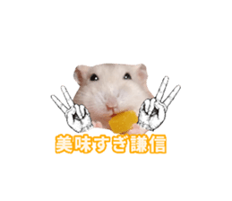 766878175