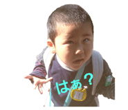 766894523