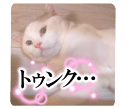766904538