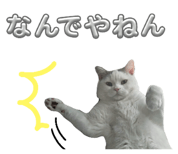 766904557