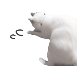 766904564
