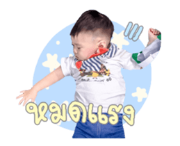 76690484