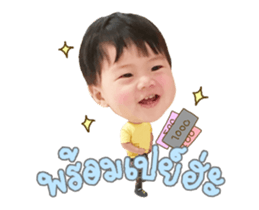 76690501