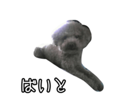 766944041