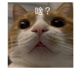 766952331