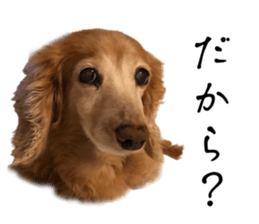 767009570