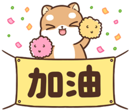 767013427