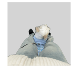 767023451