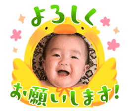767025341