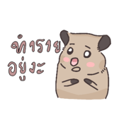 767062145