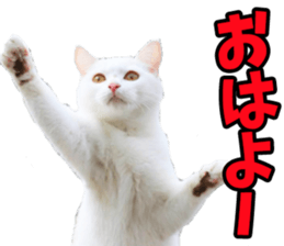 767062850