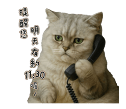 767100005