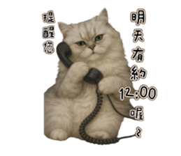 767100006