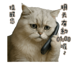 767100008