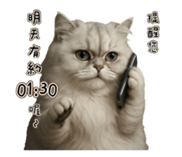 767100009