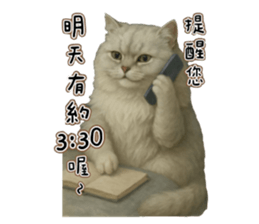 767100013