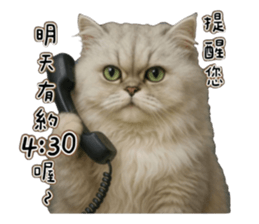 767100015