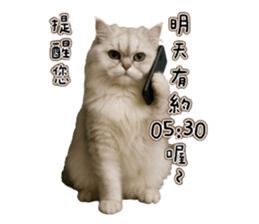 767100017