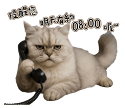 767100022