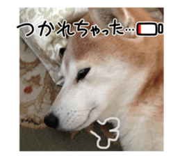 767155279