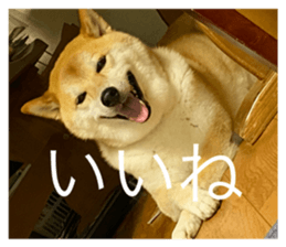 767158429
