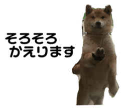 767173980