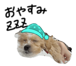 767184194