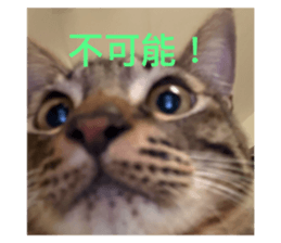 767191656