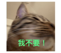 767191657