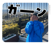 767203392