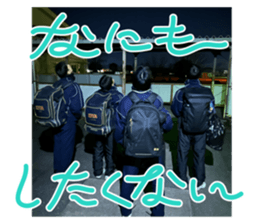 767216677