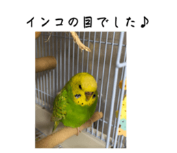 767230970