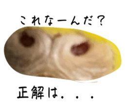 767230971