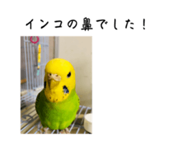 767230972