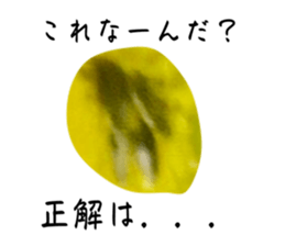 767230973
