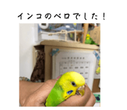 767230976